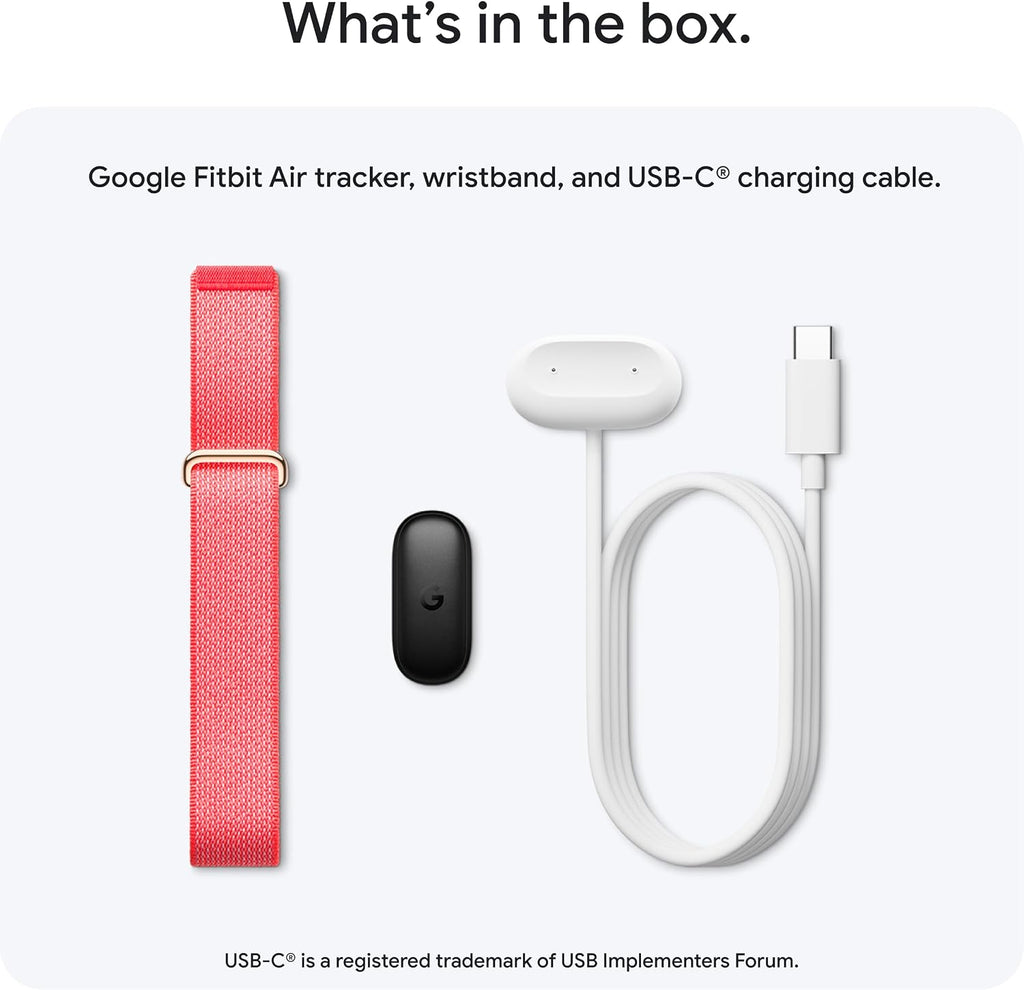 Google Fitbit Air