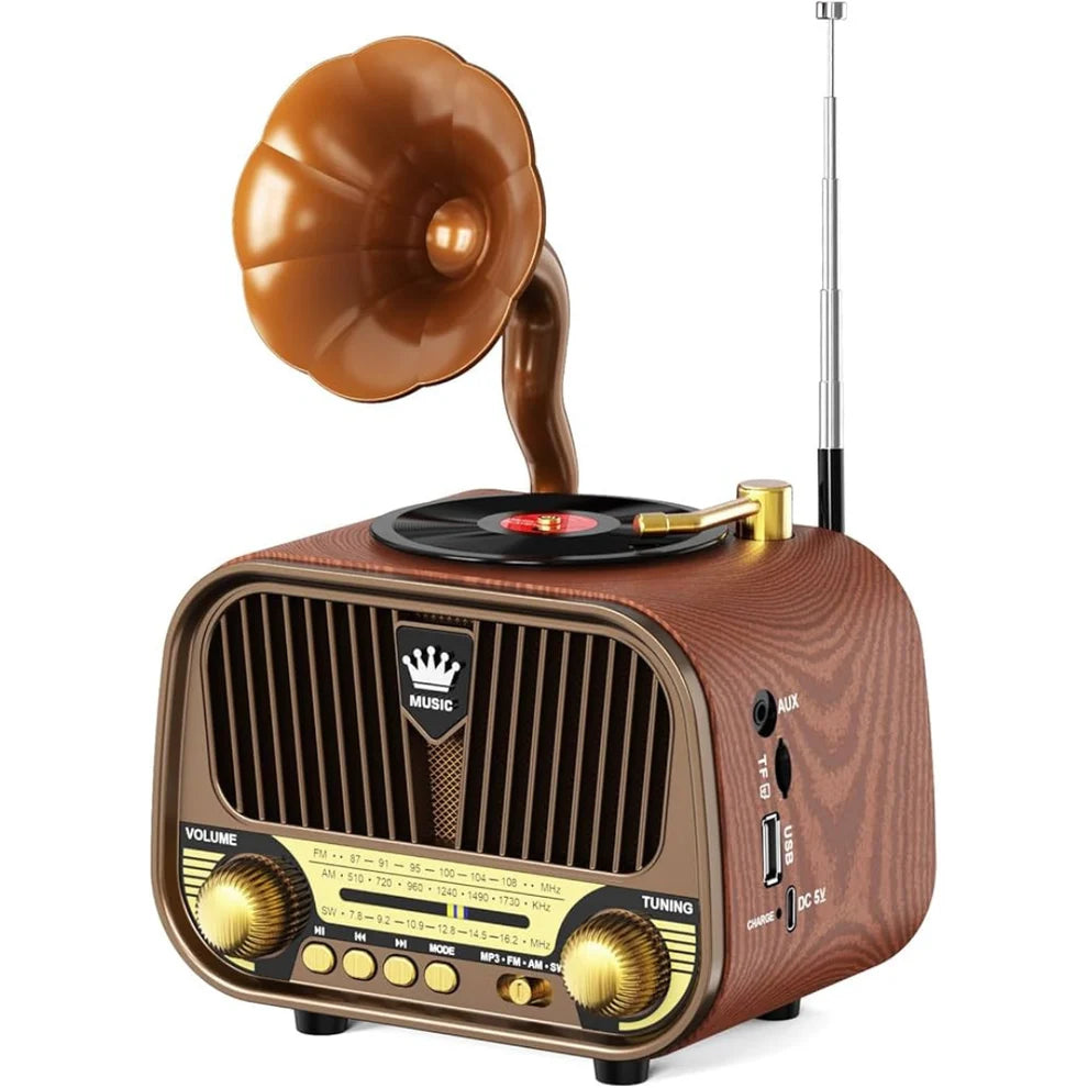 Portable AM/FM 1319 Meier radio features Bluetooth connectivity, charging capabilities, TF card support, AUX and USB inputs, and functions as an MP3 player. Model: M-1319BT