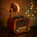 Portable AM/FM 1319 Meier radio features Bluetooth connectivity, charging capabilities, TF card support, AUX and USB inputs, and functions as an MP3 player. Model: M-1319BT
